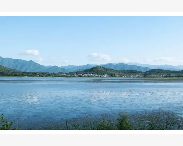 刮痧的好处：中医带你探究古老的刮痧疗法